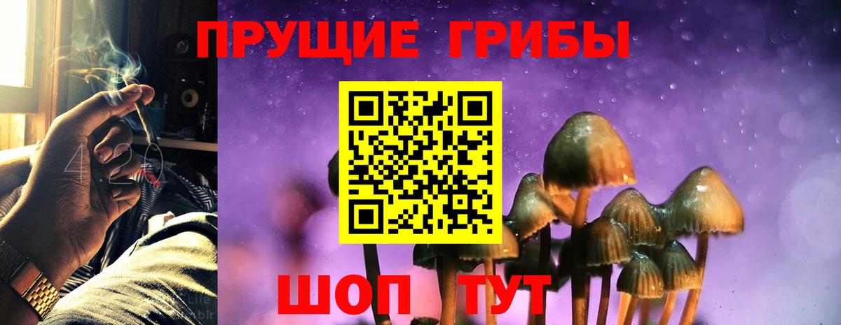 Ессентуки  Псилоцибиновые грибы Psilocybe  Псилоцибиновые грибы Magic Shrooms  Вход с VPN 